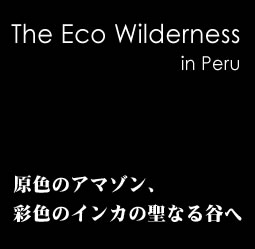 yy[zThe Eco Wilderness in Peru -F̃A}]AʐF̃CJ̐ȂJ