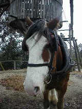 「あ〜、しんど」