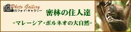 ���т̏Z�l�B�@-�}���[�V�A�E�{���l�I�̑厩�R-