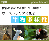 �I�[�X�g�����A�̐������l��